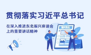 贯彻落实习近平总书记在深入推进东北振兴座谈会上的重要讲话精神