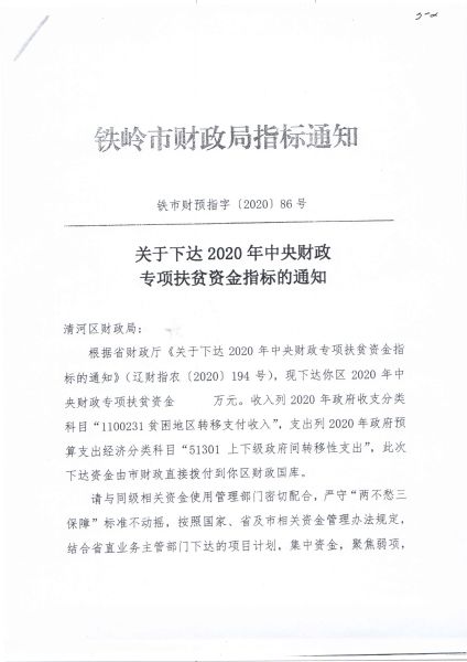 关于下达2020年中央财政专项扶贫资金指标的通知（铁市财预指字【2020】86号）1