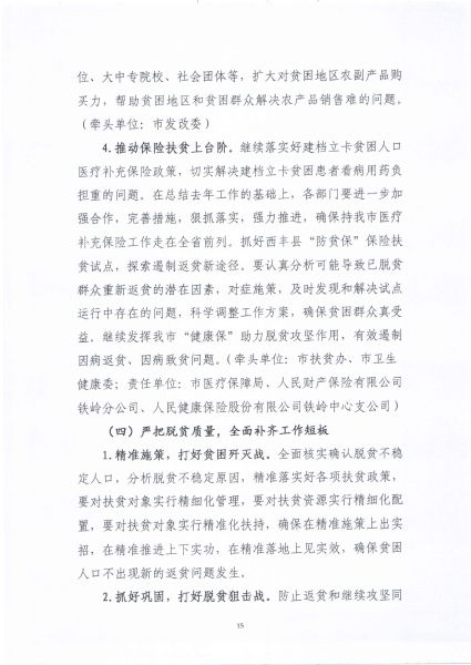 关于印发《铁岭市2020年脱贫攻坚实施方案》的通知_15